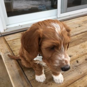 Meet your Posher, Jody